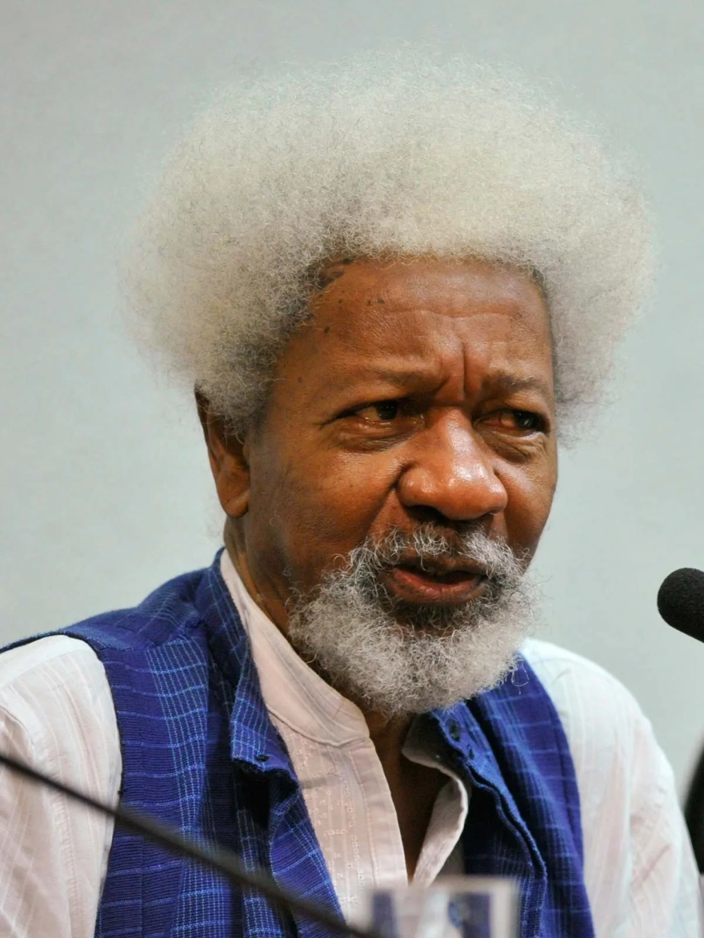 Analyzing Professor Wole Soyinka’s Comment on Peter Obi’s Competence: A Critical Perspective